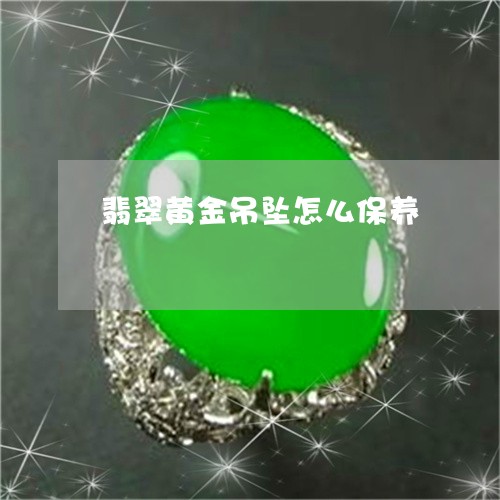 翡翠黄金吊坠怎么保养/2023060539348