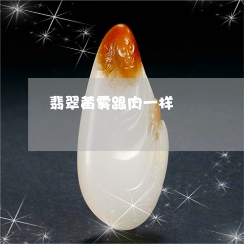翡翠黄雾跟肉一样/2023062036147