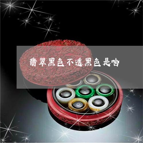 翡翠黑色不透黑色是啥/2023060593936