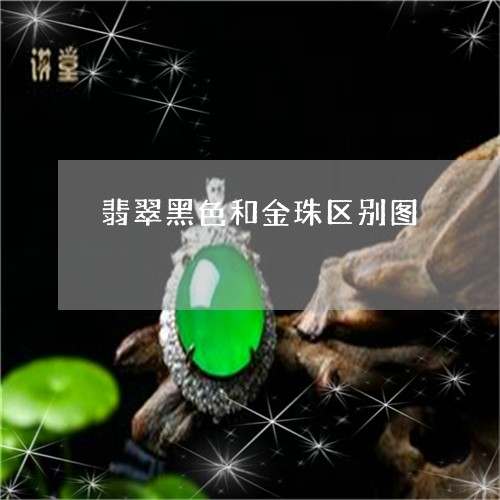 翡翠黑色和金珠区别图/2023060539370