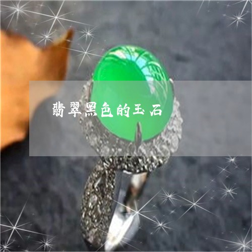 翡翠黑色的玉石/2023032204935 翡翠黑色的玉石/2023032204935