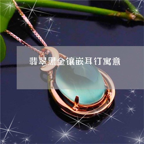 翡翠黑金镶嵌耳钉寓意/2023060585826
