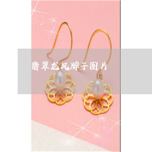 翡翠龙凤牌子图片/2023030281673 翡翠龙凤牌子图片/2023030281673