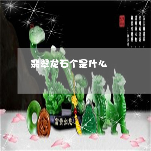 翡翠龙石个是什么/2023030261483