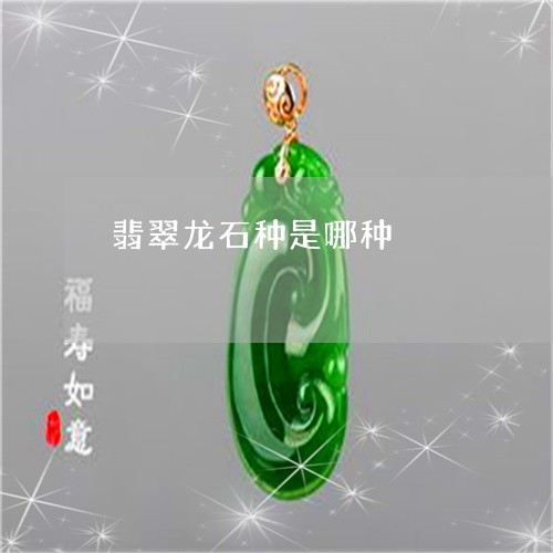 翡翠龙石种是哪种/2023062171606