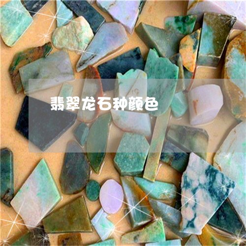翡翠龙石种颜色/2023032270715 翡翠龙石种颜色/2023032270715