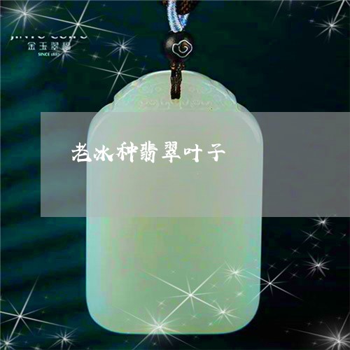 老冰种翡翠叶子/2023032273593 老冰种翡翠叶子/2023032273593