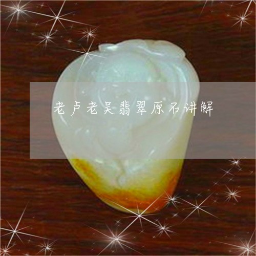 老卢老吴翡翠原石讲解/2023060516056