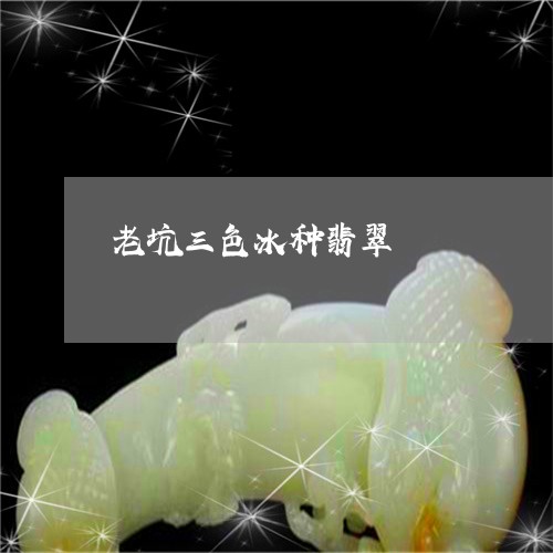 老坑三色冰种翡翠/2023062169925