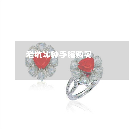 老坑冰种手镯购买/2023062184947