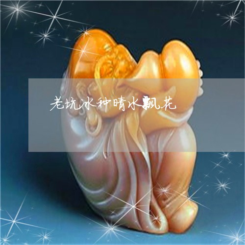 老坑冰种晴水飘花/2023062180591