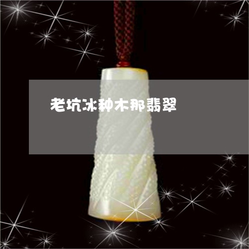 老坑冰种木那翡翠/2023062182838