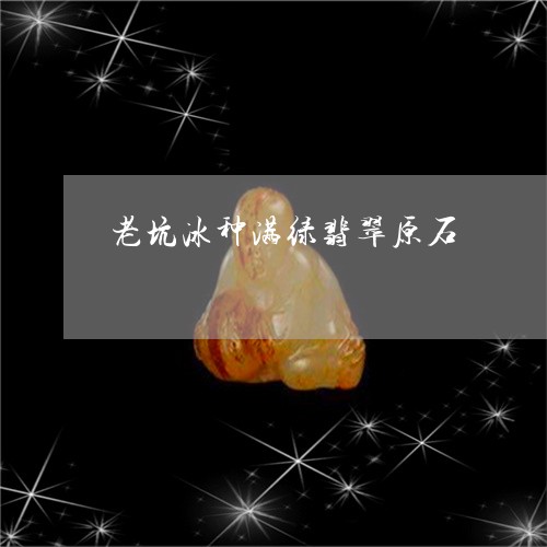老坑冰种满绿翡翠原石/2023060559214