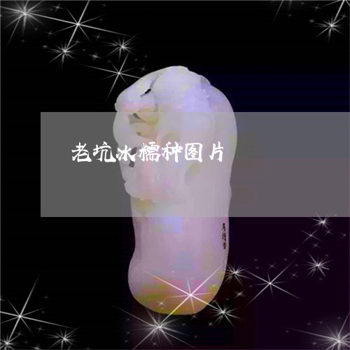 老坑冰糯种图片/2023032262583 老坑冰糯种图片/2023032262583
