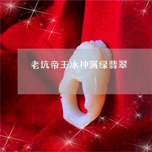 老坑帝王冰种满绿翡翠/2023060538383