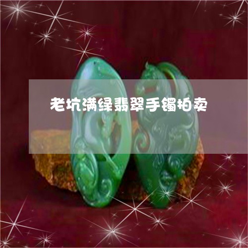 老坑满绿翡翠手镯拍卖/2023060563703 老坑满绿翡翠手镯拍卖/2023060563703