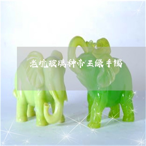 老坑玻璃种帝王绿手镯/2023060550593 老坑玻璃种帝王绿手镯/2023060550593