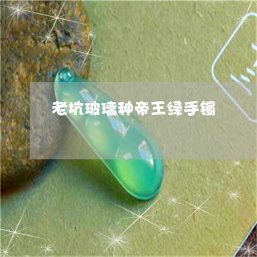 老坑玻璃种帝王绿手镯/2023060569393 老坑玻璃种帝王绿手镯/2023060569393