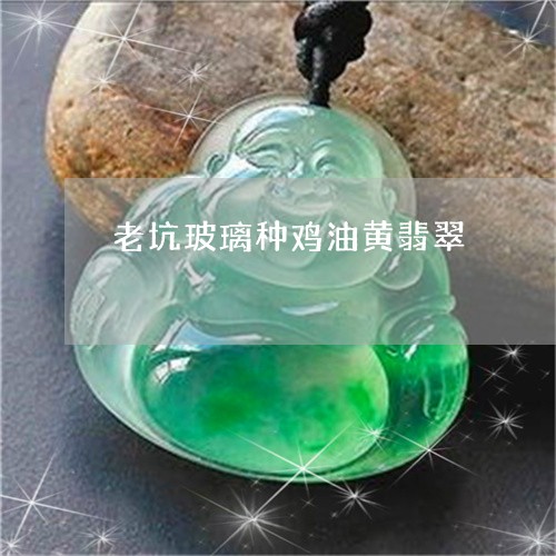 老坑玻璃种鸡油黄翡翠/2023060561383
