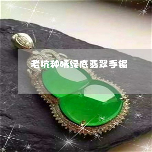 老坑种晴绿底翡翠手镯/2023060596059