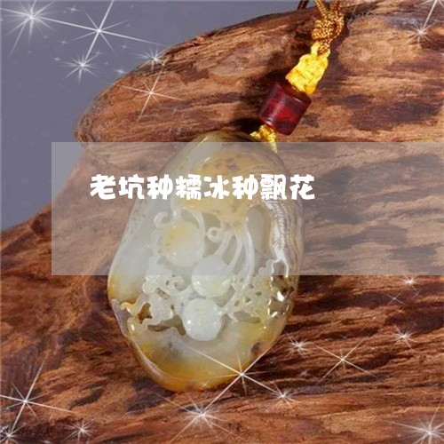 老坑种糯冰种飘花/2023062164049