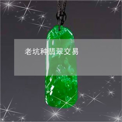 老坑种翡翠交易/2023032258472