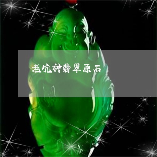 老坑种翡翠原石/2023032272713 老坑种翡翠原石/2023032272713