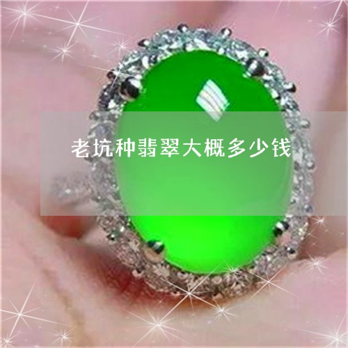 老坑种翡翠大概多少钱/2023060528159