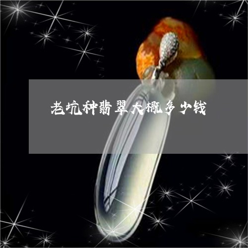 老坑种翡翠大概多少钱/2023060533604