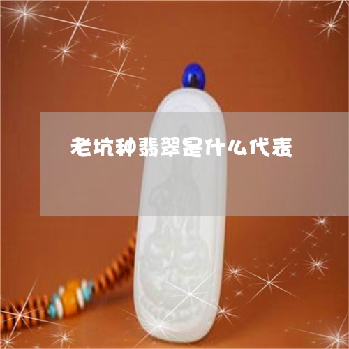 老坑种翡翠是什么代表/2023060549502
