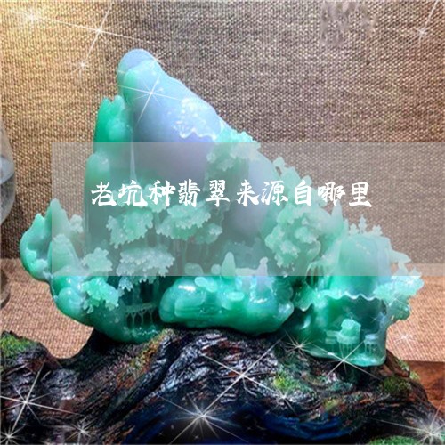 老坑种翡翠来源自哪里/2023060549279