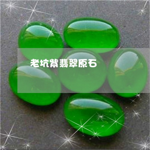 老坑紫翡翠原石/2023032217517