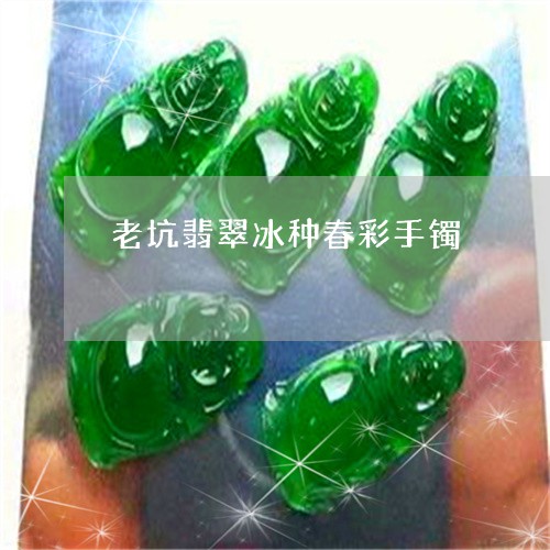 老坑翡翠冰种春彩手镯/2023060548370