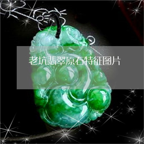 老坑翡翠原石特征图片/2023060542603
