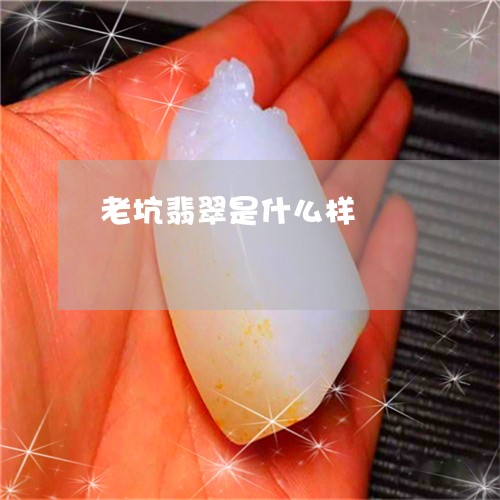 老坑翡翠是什么样/2023062107505