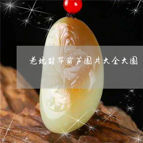 老坑翡翠葫芦图片大全大图/2023071141414