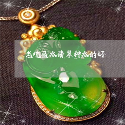老坑蓝水翡翠种水的好/2023060527179 老坑蓝水翡翠种水的好/2023060527179