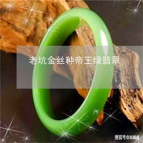 老坑金丝种帝王绿翡翠/2023060639461