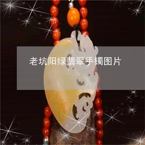 老坑阳绿翡翠手镯图片/2023060690683