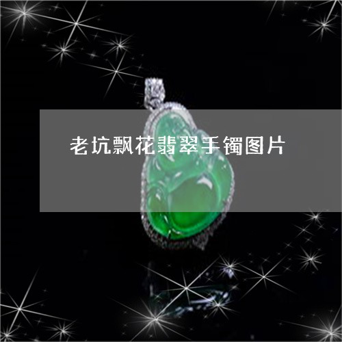 老坑飘花翡翠手镯图片/2023060662914
