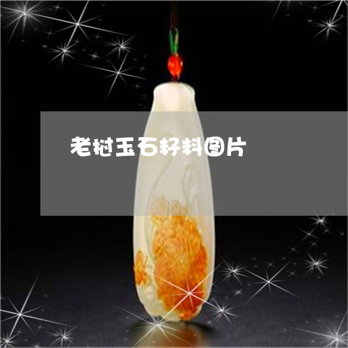 老挝玉石籽料图片/2023030267238 老挝玉石籽料图片/2023030267238