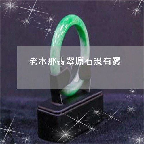 老木那翡翠原石没有雾/2023060650674
