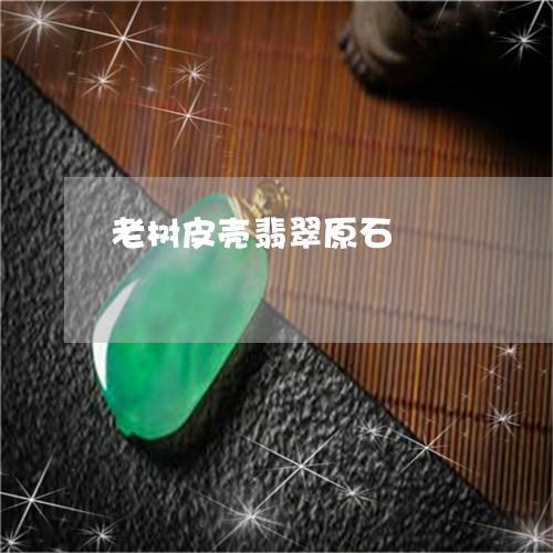 老树皮壳翡翠原石/2023062151917