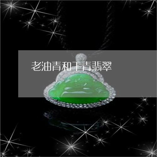 老油青和干青翡翠/2023062142837 老油青和干青翡翠/2023062142837