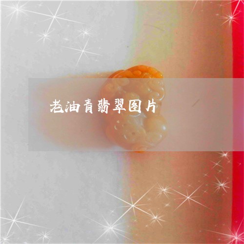 老油青翡翠图片/2023032316251