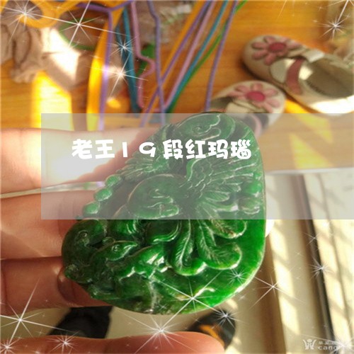 老王19段红玛瑙/2023062043735