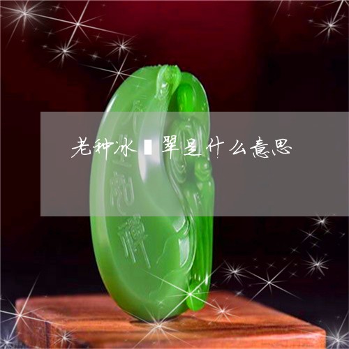 老种冰翡翠是什么意思/2023060628251 老种冰翡翠是什么意思/2023060628251