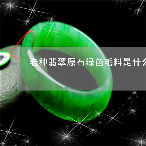 老种翡翠原石绿色毛料是什么/2023071284693