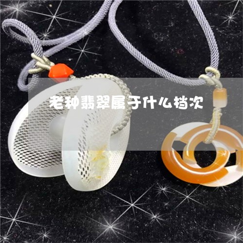 老种翡翠属于什么档次/2023060528949