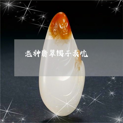 老种翡翠镯子表坑/2023030277462 老种翡翠镯子表坑/2023030277462